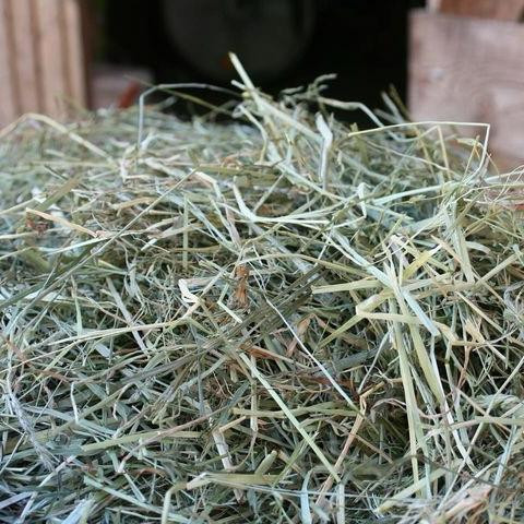 Schwäbisches Wiesenheu 6 kg Warmlufttrocknung Entstaubt